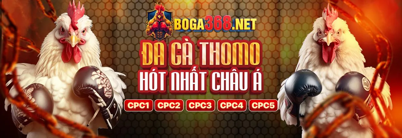 Top 5 Game Bài Đổi Thưởng Đáng Chơi Nhất 2024 tại TOPVIP